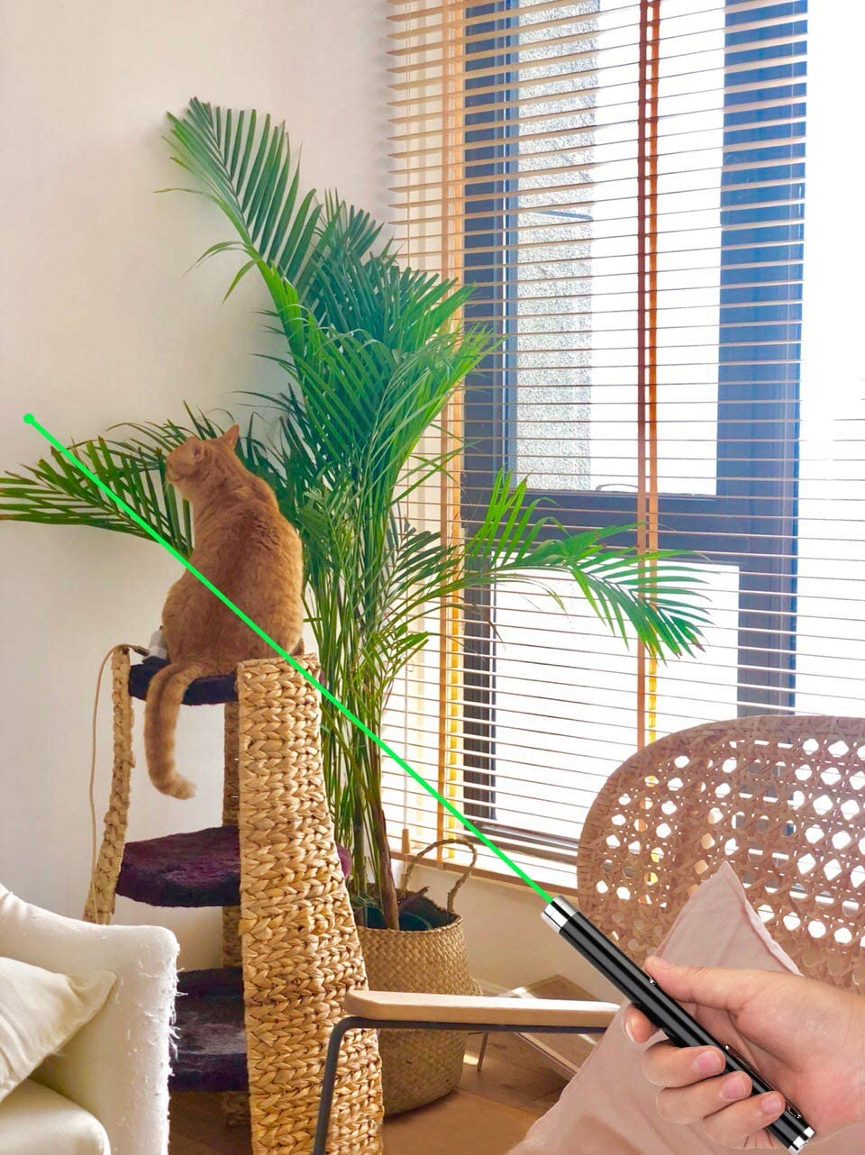 Laser Pointer Pen Set – Green, Blue & Red Beams (3-Pack)